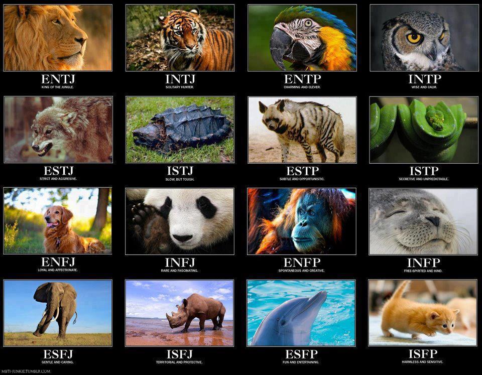 Enneagram 3 + MBTI – Funky MBTI