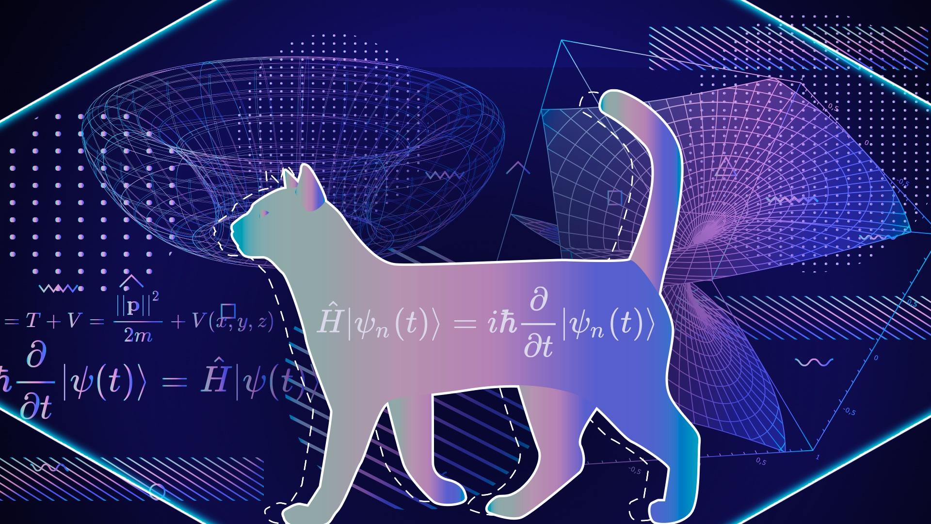 Physics and psychology of cats – an (improbable) conversation