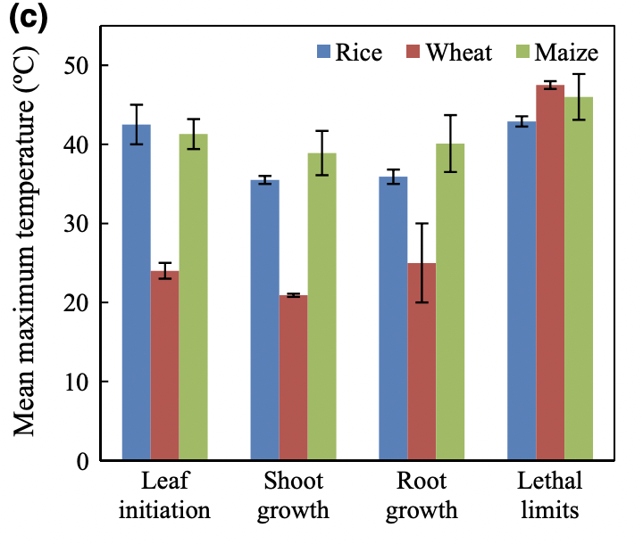 Mean maximum temperature for leaf initiation, shoot growth, root growth, and lethality for rice, wheat, and maize.