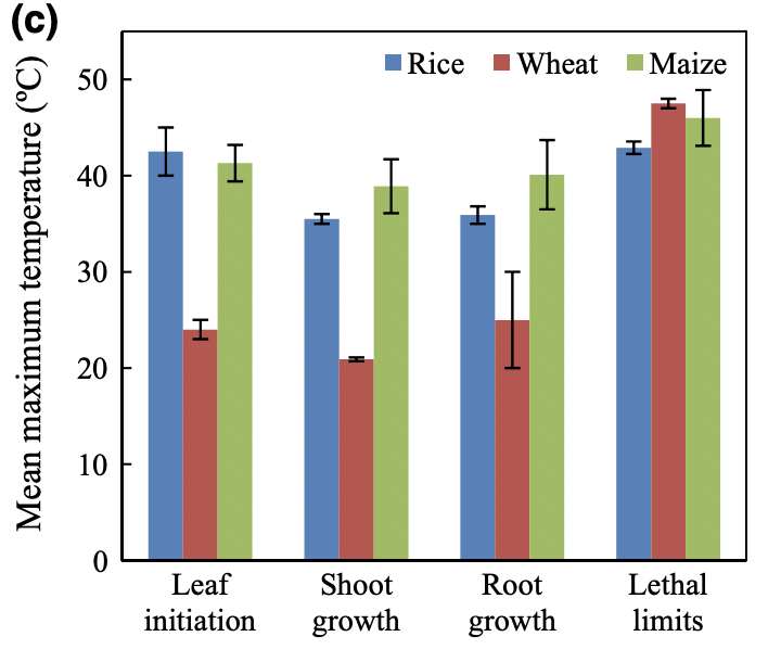 Temperatura máxima média para iniciação foliar, crescimento da parte aérea, crescimento da raiz e letalidade para arroz, trigo e milho.