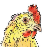 Legal Impact for Chickens logo