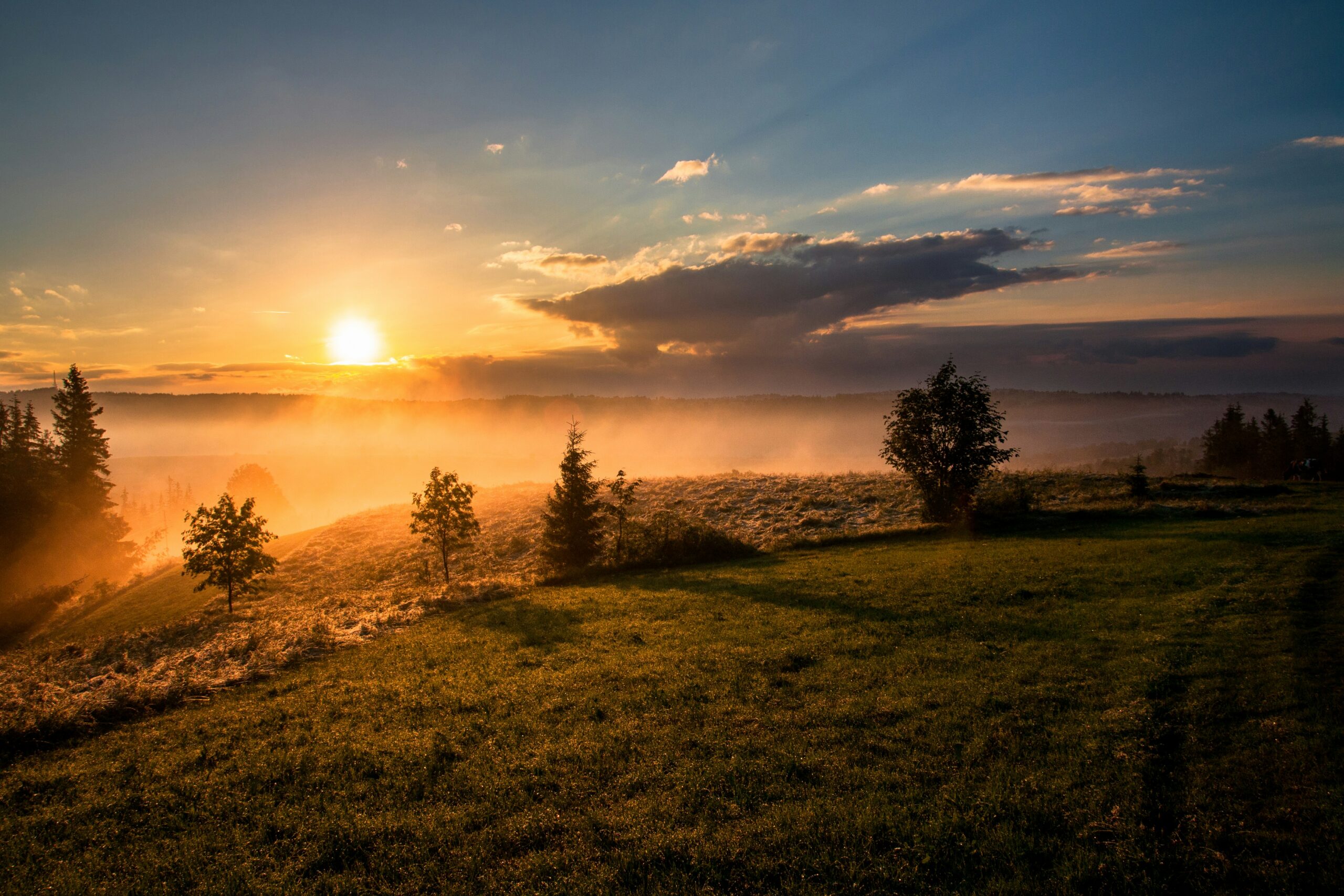 Practical steps to form better habits in your life and career