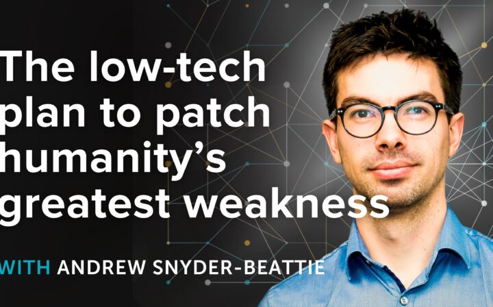 Decorative post preview