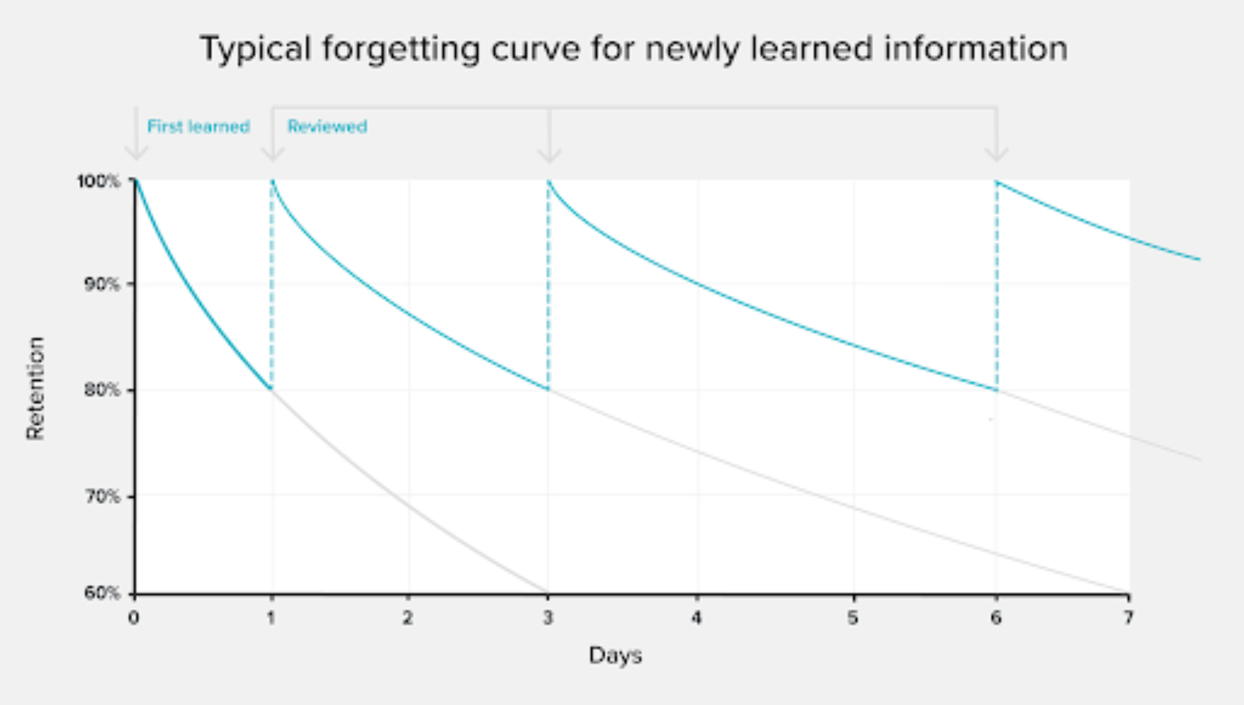 Forgetting curve